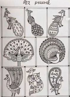 the peacocks are drawn in different ways