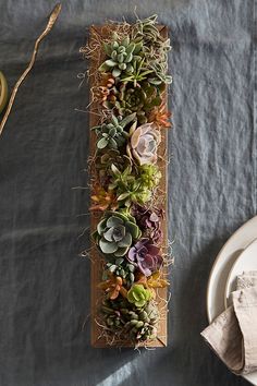 a long succulent planter is sitting on a table next to a plate