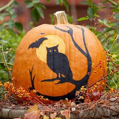 a carved pumpkin with a black cat on it