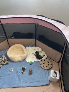 there are many small animals in the pet play pen, and one cat is sleeping