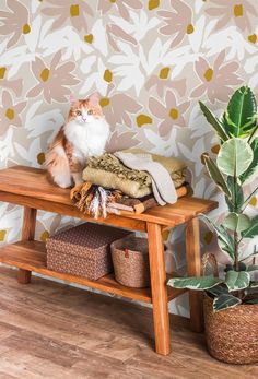 an orange and white cat sitting on top of a wooden bench next to a potted plant