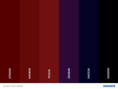 the color palette is shown with different colors in each section, including red, purple, and blue