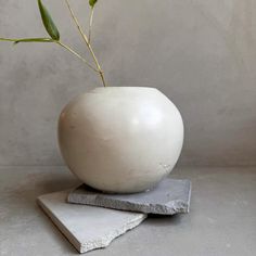 a white vase with a plant in it sitting on top of two pieces of stone