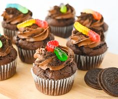 cupcakes with chocolate frosting and candy on top