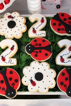 decorated cookies in the shape of numbers and ladybugs