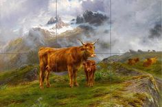 Highland Cattle, Art Tile, Decorative Tiles