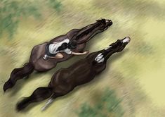 two horses that are laying down on the ground with their heads touching each other's backs