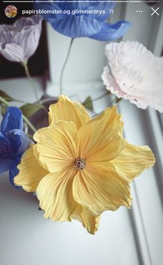 three different colored flowers in a vase