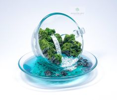 a glass bowl filled with water and broccoli on top of a blue plate