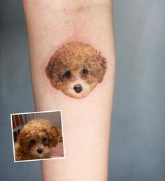 Poodle Tattoo, minimalist poodle tattoo, poodle tattoo ideas, toy poodle tattoo, poodle tattoo outline, standard poodle tattoo, simple poodle tattoo, geometric poodle tattoo, traditional poodle tattoo, black poodle tattoo, mini poodle tattoo, small poodle tattoo, cute poodle tattoo, realistic toy poodle tattoo, poodle tattoo designs, minimalist toy poodle tattoo, small simple poodle tattoo, minimalist poodle tattoo designs, french poodle tattoo, poodle tattoo images, cartoon poodle tattoo