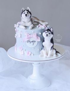 two husky dogs sitting on top of a cake that is decorated with pink and white flowers