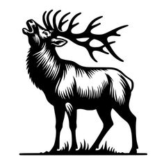 a black and white drawing of a deer with antlers on it's head