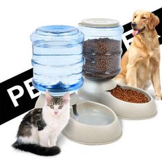 there is a cat and dog sitting next to each other in front of water bottles