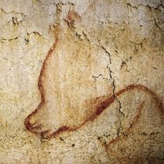 an animal's head is shown on the wall in this cave painting, which appears to be painted with brown paint