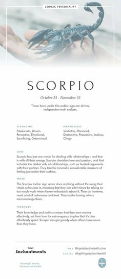 the scorpio flyer is shown in blue and white, with an image of a scorpion