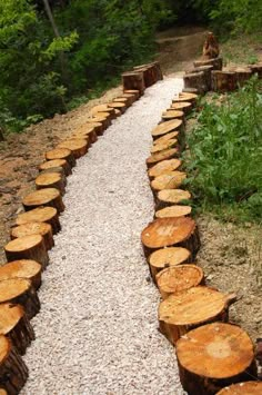 a path made out of logs in the woods