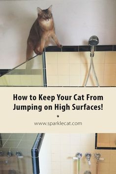 a cat sitting on top of a bath tub next to a shower with the words how to keep your cat from jumping on high surfaces