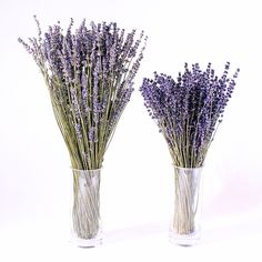 two vases filled with lavender flowers on a white background