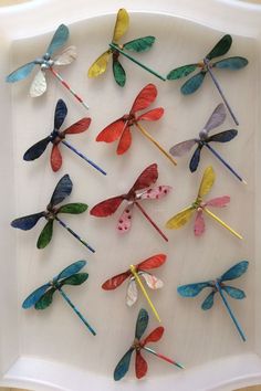 a group of colorful dragonflys sitting on top of a white plate