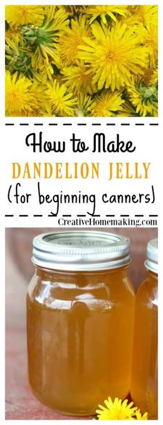 how to make dandelion jelly for beginners