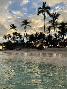 palm trees line the beach as the sun sets