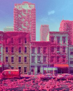 an old city with pink flowers in the foreground and tall buildings in the background