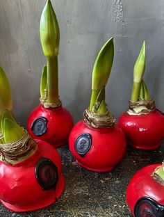 four red vases with plants growing out of them