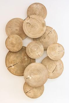 a bunch of wood slices are arranged in the shape of a tree slice on a white background