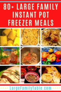 collage of images with text overlay that says 80 + large family instant pot freeze meals