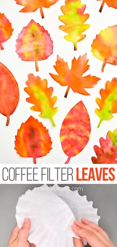 Coffee Filter Leaves | Easy Fall Leaves Craft for Kids Coffee Filter Fall Art, Fall Crafts With Coffee Filters, Activities With Fall Leaves, Coffee Filter Leaves Preschool, Fall Leaf Craft Kindergarten, November Easy Crafts, Kids Craft With Leaves, Thanksgiving Window Decorations Diy, Coffee Filter Thanksgiving Crafts