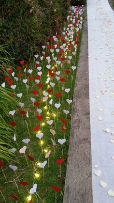 some red and white flowers are next to a long line of grass with lights on them