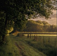 the sun is shining through the trees on this country road that leads to a field