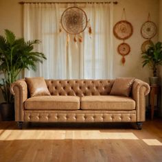 a tan couch sitting in front of a window next to a potted plant on top of a hard wood floor