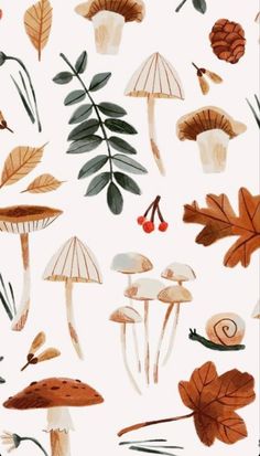 an illustration of mushrooms and leaves on a white background