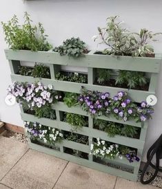 a wooden pallet filled with lots of plants