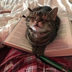 a cat laying on top of an open book with its eyes closed and tongue out