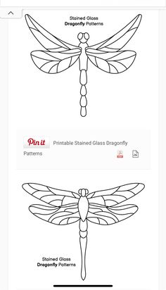 the instructions for how to draw a dragonfly in adobe, photoshopped and ink