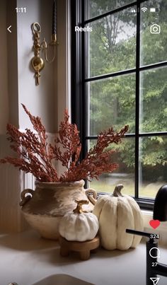 two white pumpkins sitting on top of a counter next to a window