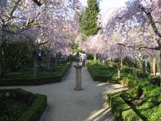 a garden with lots of trees and bushes