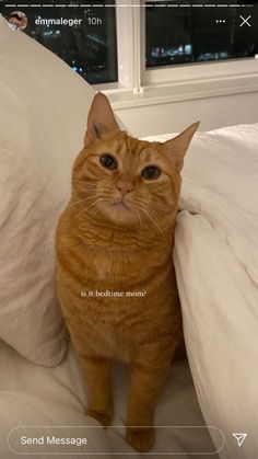 an orange cat sitting on top of a white bed next to pillows and pillow cases