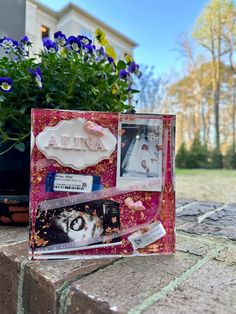 a box with some pictures and flowers in it sitting on a stone ledge next to a potted plant