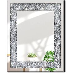 a mirror with some plants and a potted plant on the floor in front of it