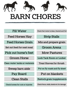 the horse info sheet for barn chores