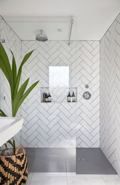 a white tiled bathroom with a plant in the corner