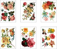 four different types of flowers on white paper