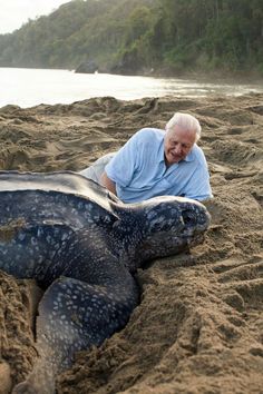 an older man laying in the sand next to a large turtle