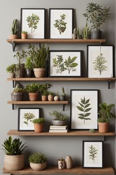 some plants and pictures are on shelves in a room that is painted gray with grey walls