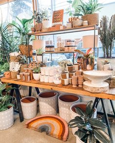 many potted plants are sitting on a shelf in a room with large windows and lots of pots