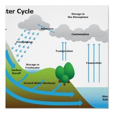 water cycle diagram with trees and clouds