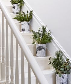 some plants are sitting in vases on the stairs